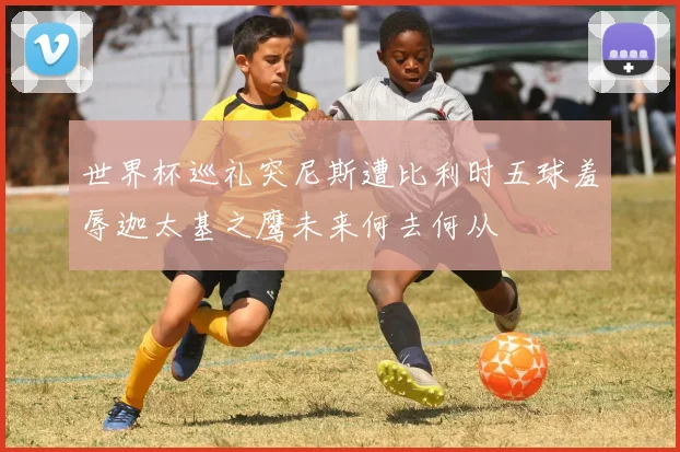 世界杯巡礼突尼斯遭比利时五球羞辱迦太基之鹰未来何去何从